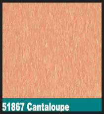 51867 Cantaloupe